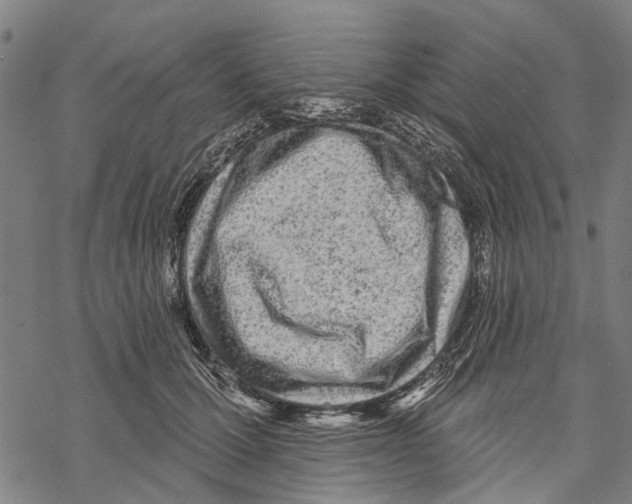 X0000067490607200605051739