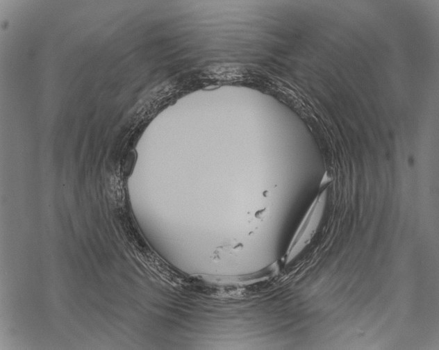 X0000067490609200605051739
