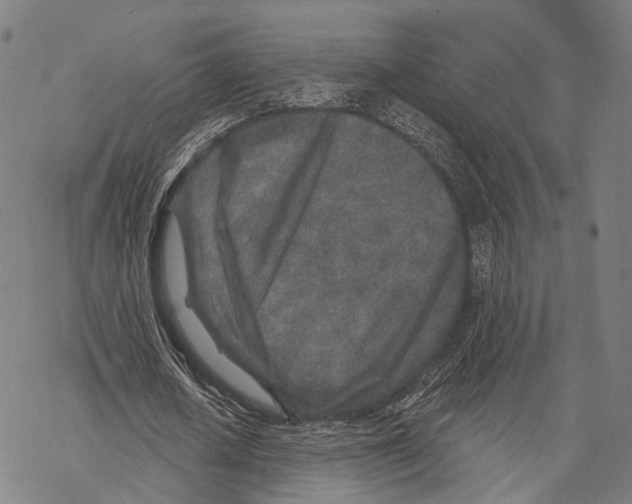 X0000067490626200605051738