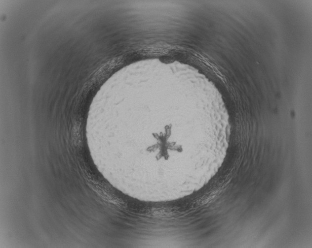 X0000067490641200605051739