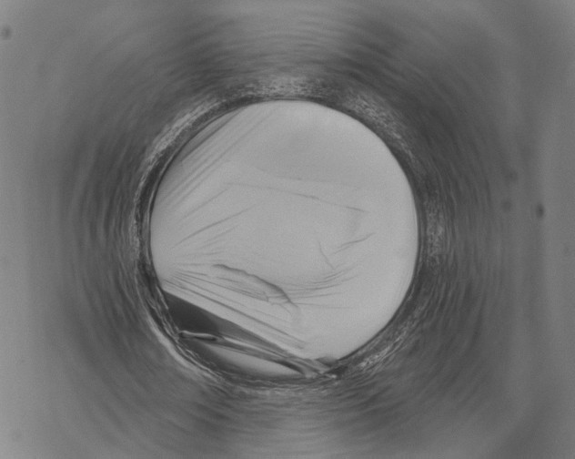 X0000067490674200605051738