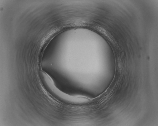 X0000067490677200605051738