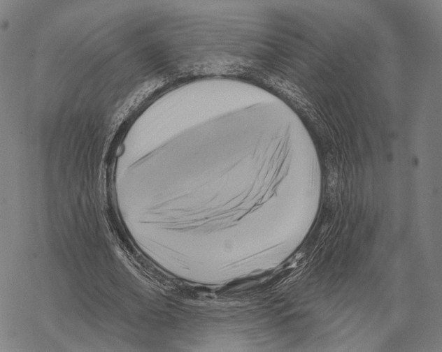 X0000067490678200605051738