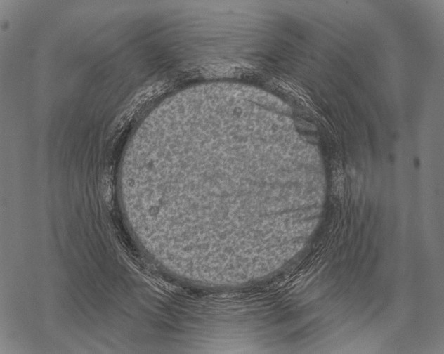 X0000067490687200605051738