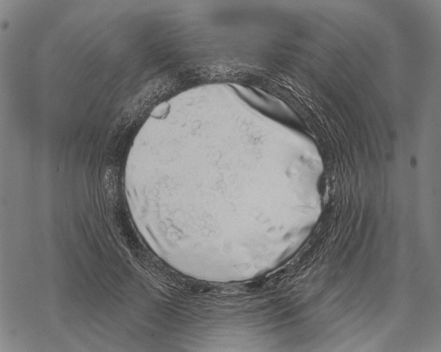 X0000067490695200605051738