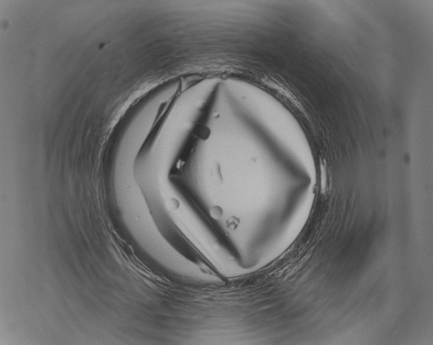X0000067490723200605051737