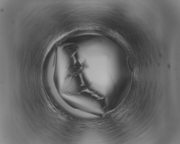 X0000067490724200605051737