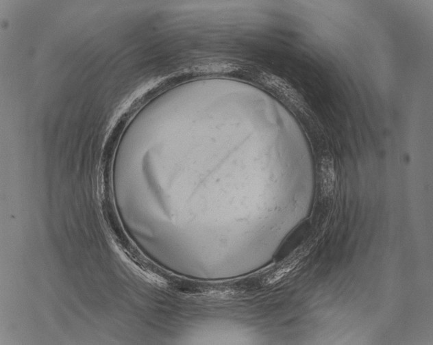 X0000067490726200605051737