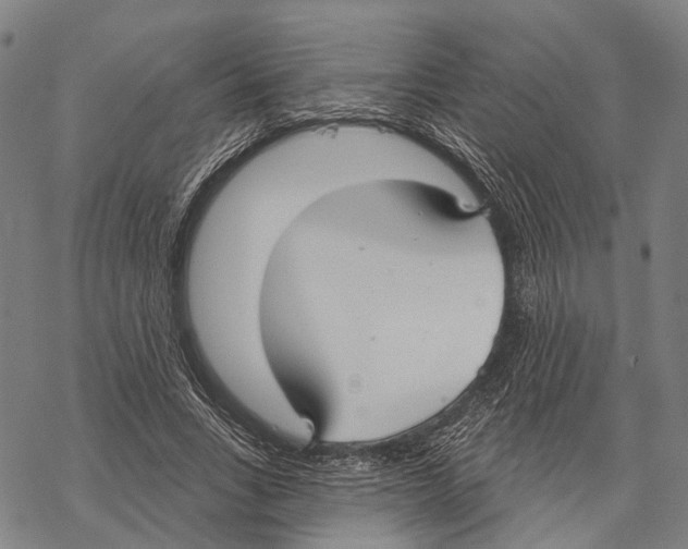 X0000067490735200605051737
