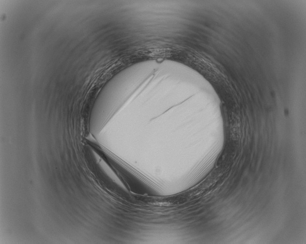 X0000067490748200605051737