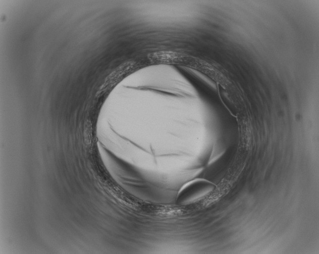 X0000067490760200605051737