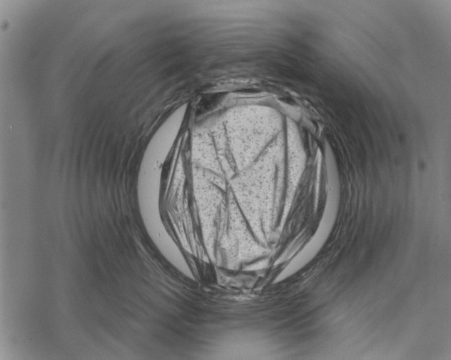 X0000067490767200605051738