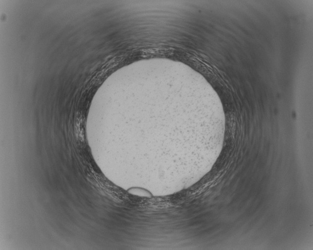 X0000067490770200605051737