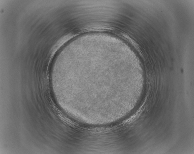 X0000067490779200605051737
