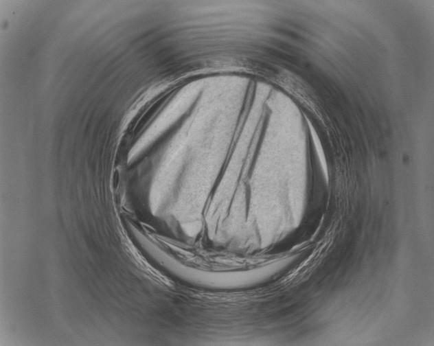 X0000067490797200605051736