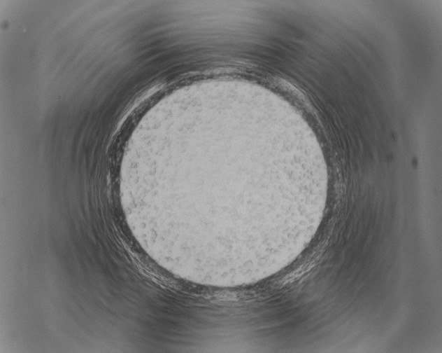 X0000067490827200605051735