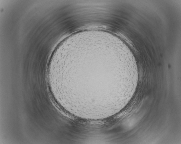 X0000067490848200605051736