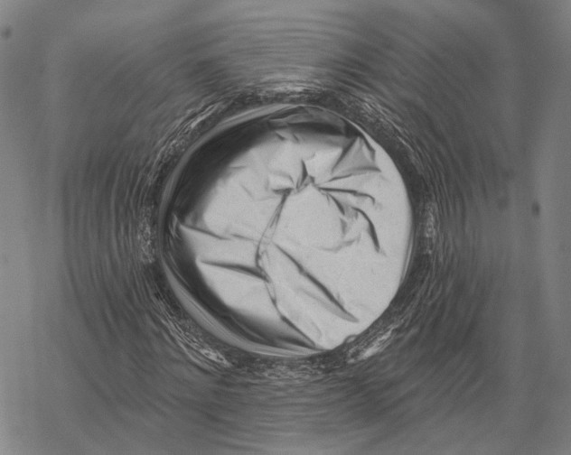 X0000067490868200605051735