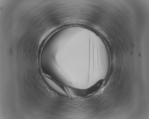 X0000067490877200605051735