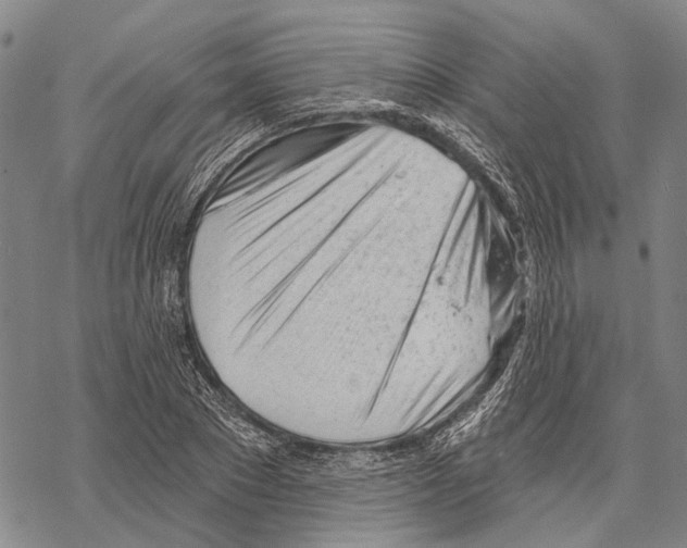X0000067490881200605051735