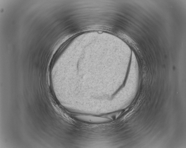 X0000067490892200605051735