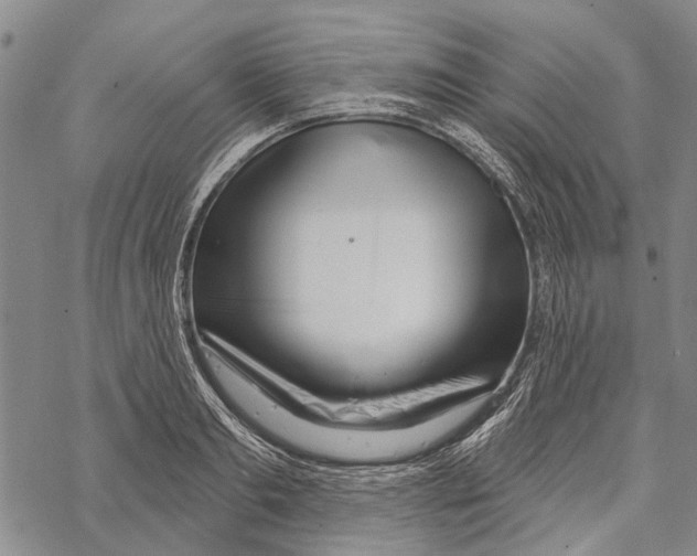 X0000067490893200605051735