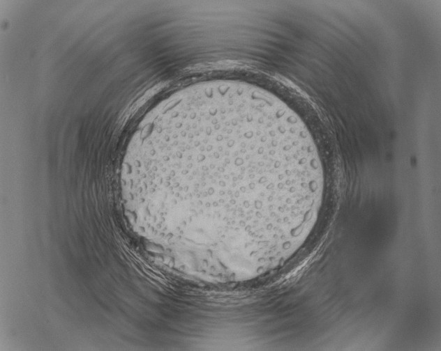X0000067490921200605051734
