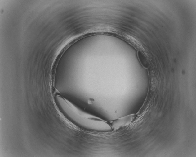 X0000067490942200605051734