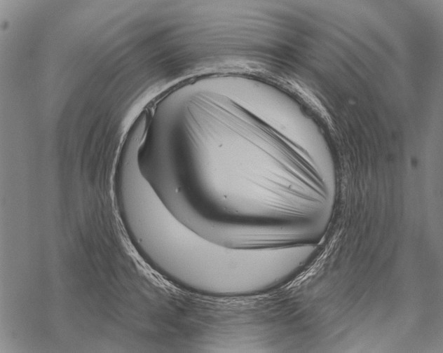 X0000067490944200605051734