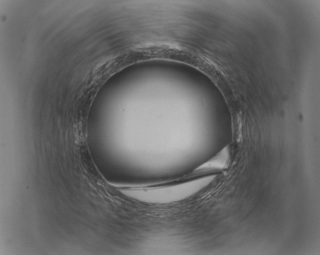 X0000067490965200605051734
