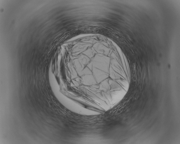 X0000067491013200605051732