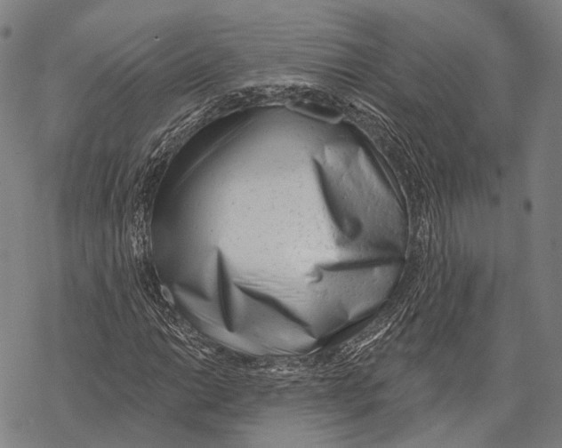 X0000067491014200605051732