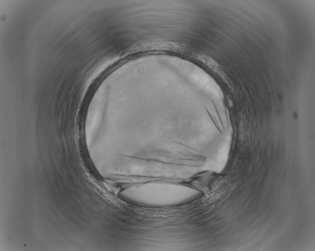 X0000067491024200605051732