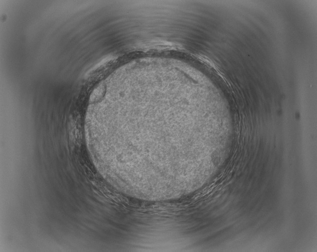 X0000067491063200605051732