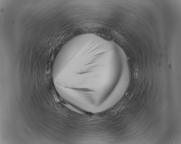 X0000067491108200605051731