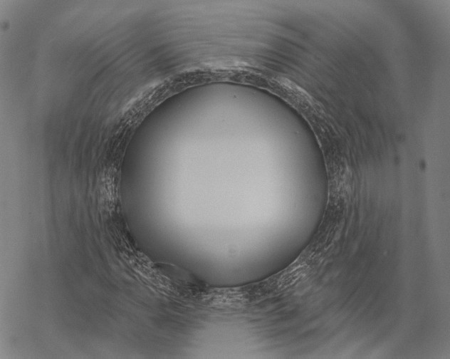 X0000067491110200605051731