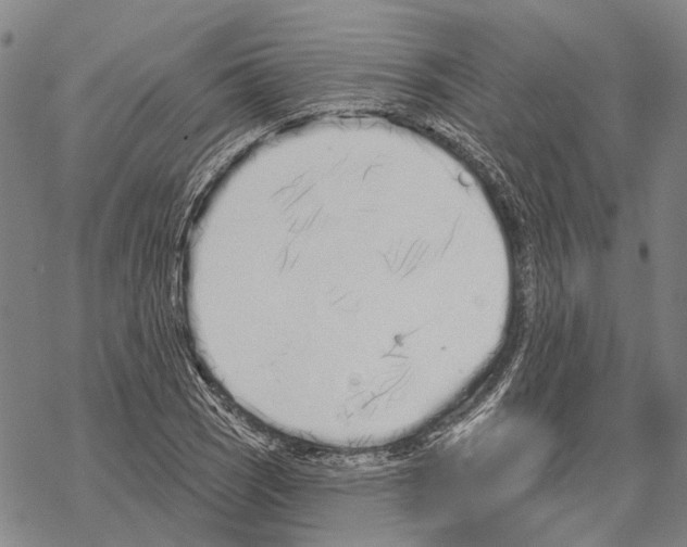 X0000067491121200605051731