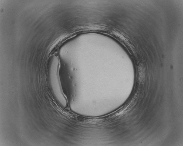 X0000067491163200605051730