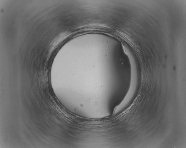 X0000067491164200605051730
