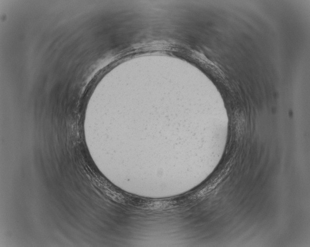 X0000067491166200605051730