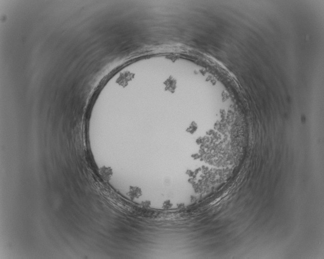 X0000067491174200605051730