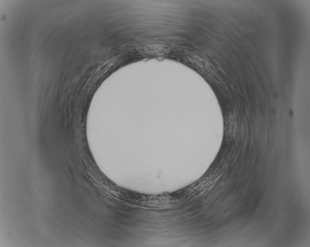 X0000067491201200605051729