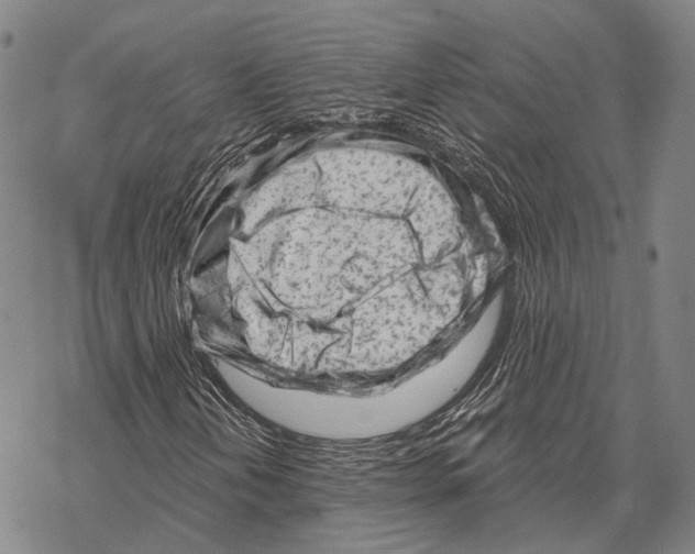 X0000067491202200605051729