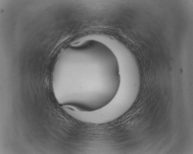 X0000067491206200605051729
