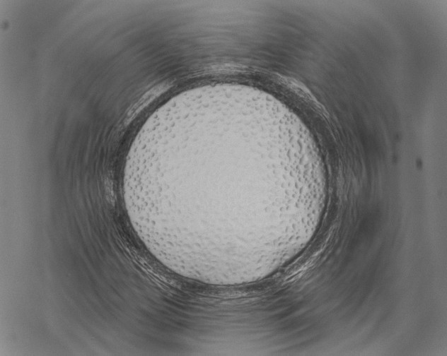 X0000067491209200605051729