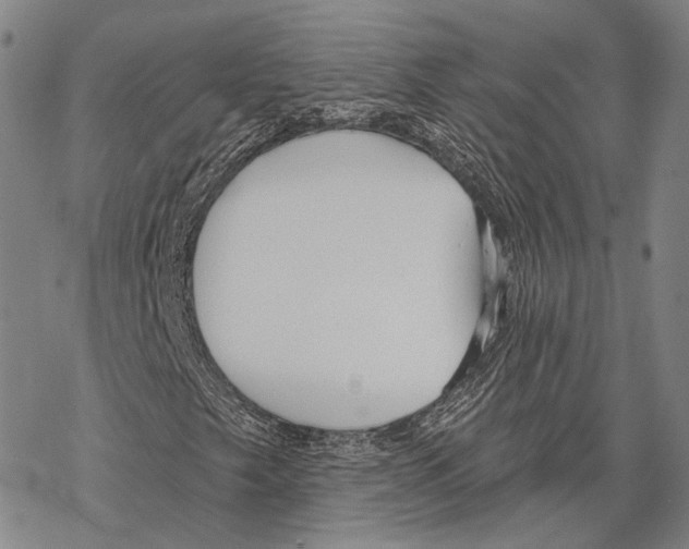 X0000067491249200605051729