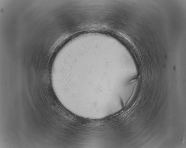 X0000067491267200605051729