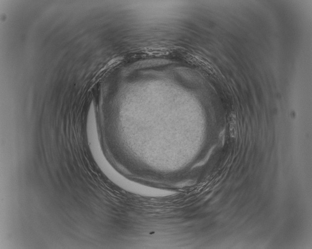 X0000067491298200605051727