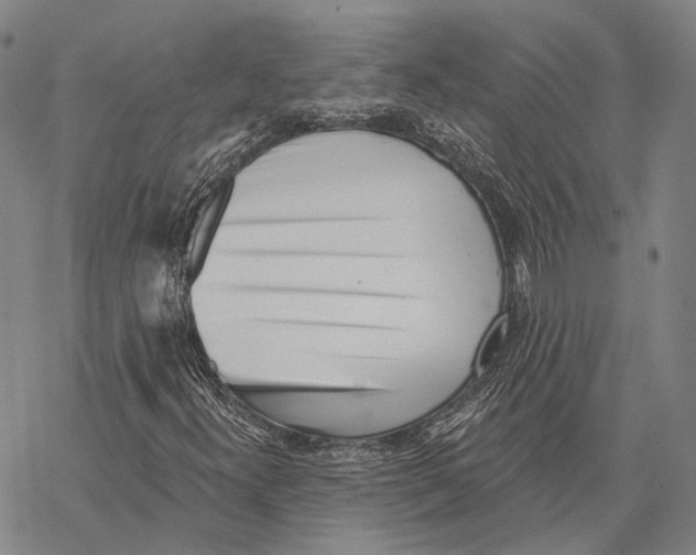 X0000067491300200605051727