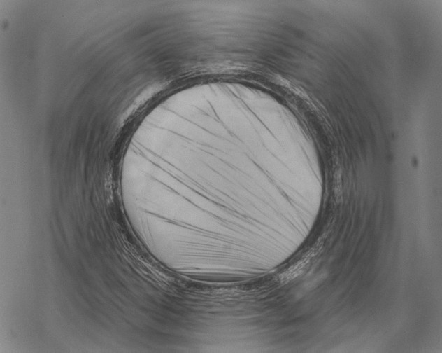 X0000067491306200605051728